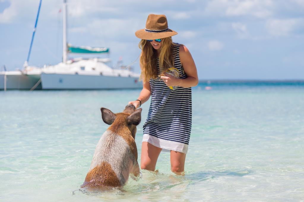 Green Turtle Club Resort & Marina Green Turtle Cay Kültér fotó