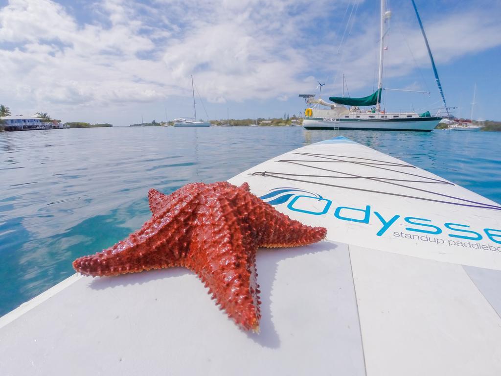 Green Turtle Club Resort & Marina Green Turtle Cay Kültér fotó