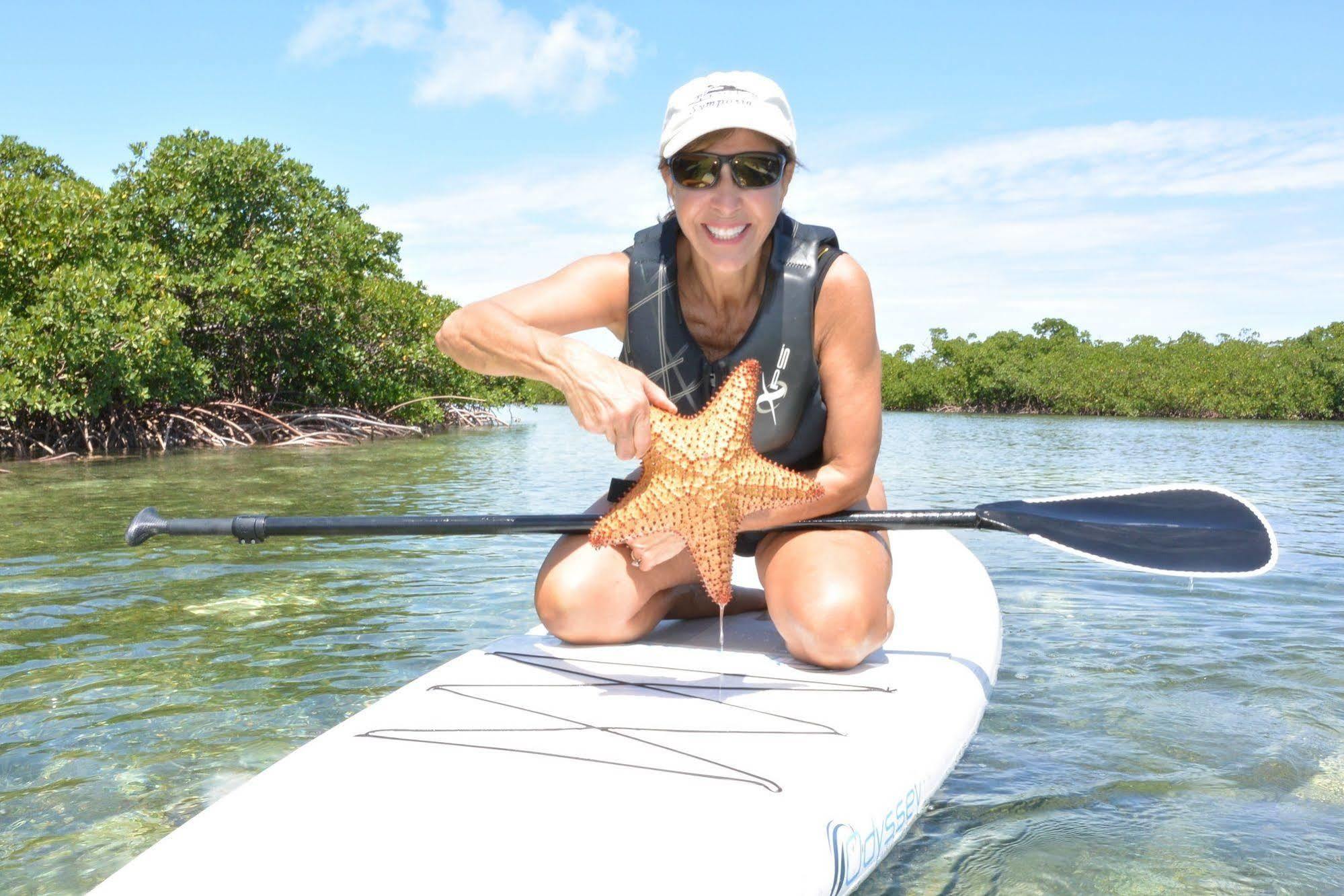 Green Turtle Club Resort & Marina Green Turtle Cay Kültér fotó