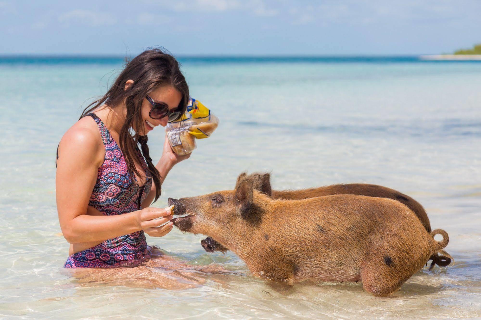 Green Turtle Club Resort & Marina Green Turtle Cay Kültér fotó