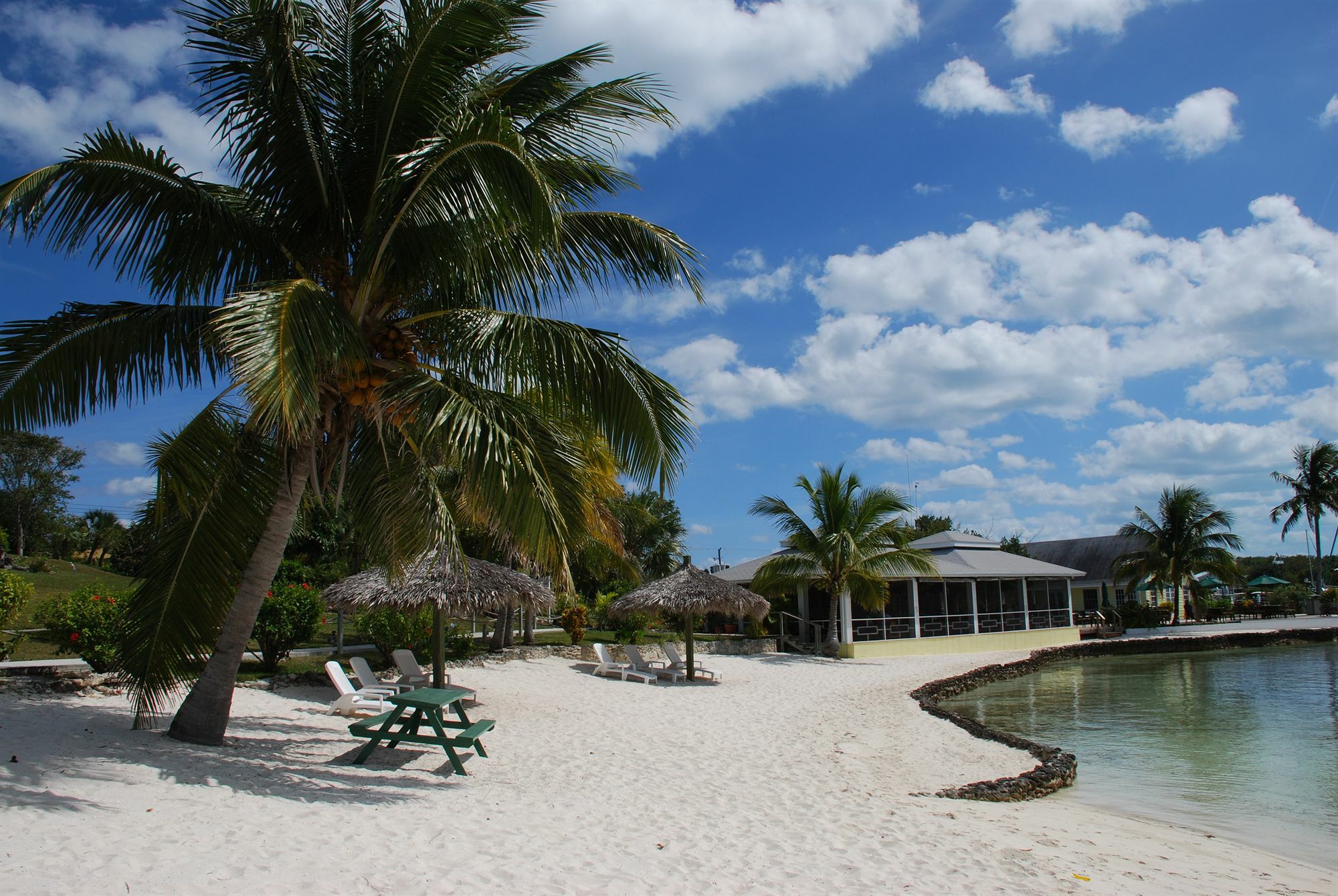 Green Turtle Club Resort & Marina Green Turtle Cay Kültér fotó